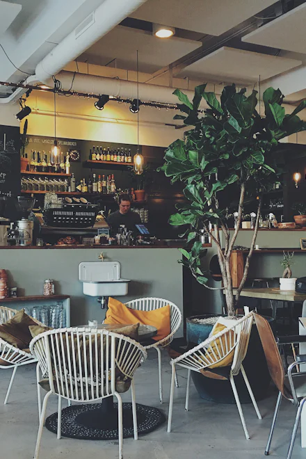 A warm cafe interior with a barista behind the counter, a large fiddle-leaf fig and wicker chairs.